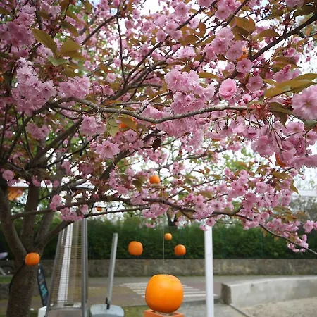 Pomaranczowa Plaza 3*