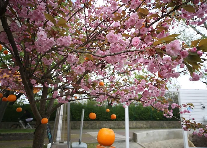 Pomaranczowa Plaza 3*