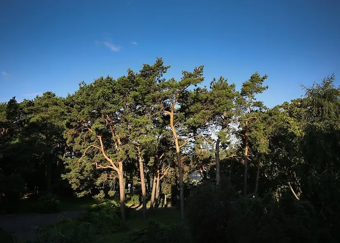 Pomaranczowa Plaza 3* Sopot